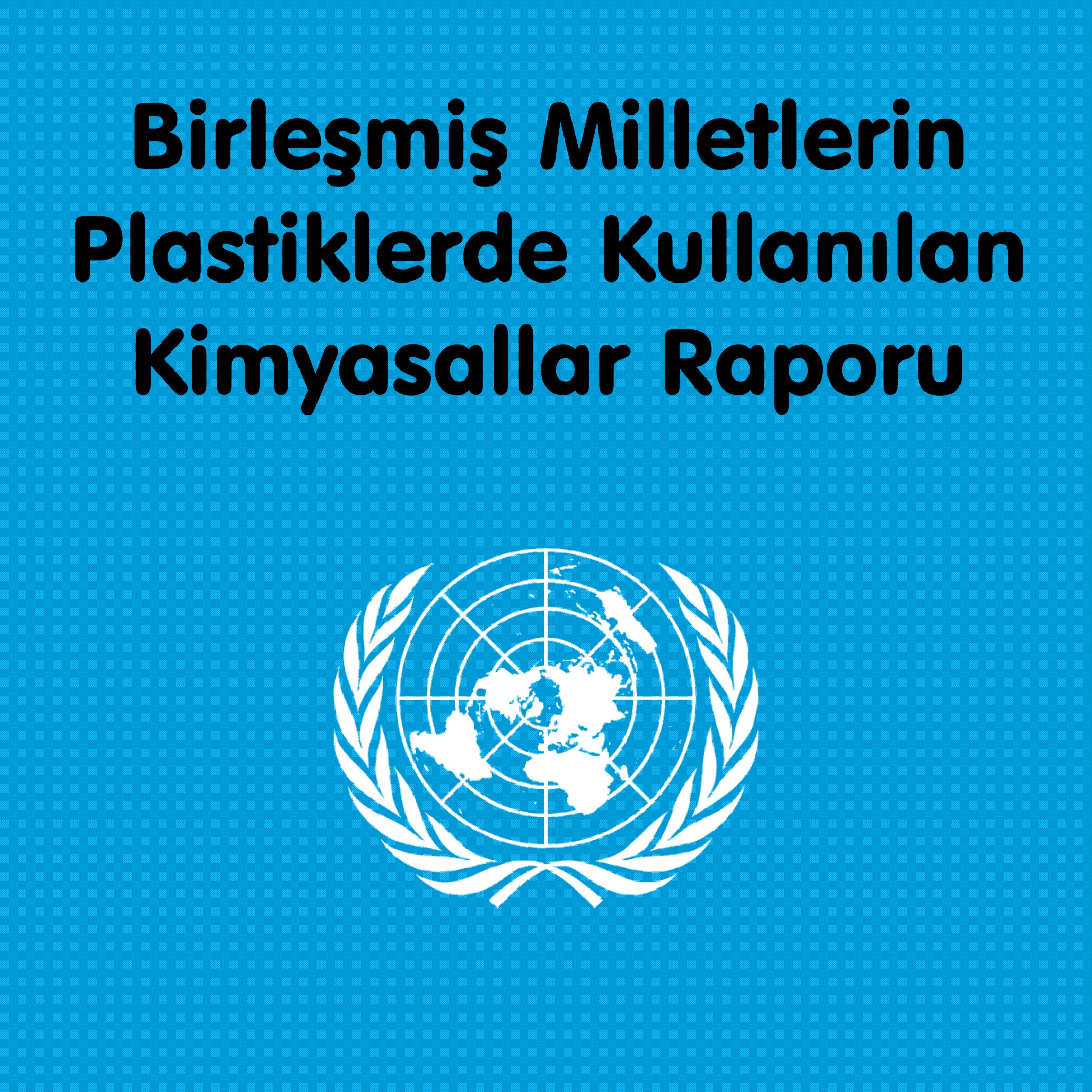 Birleşmiş Milletlerin Plastiklerde Kullanılan Kimyasallar Raporu